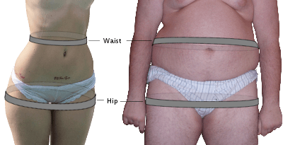 Berechnen Sie in einem Rutsch Ihr Taille/Hüfte (WHR) Ihr Taille/Größe Verhältnis (WHtR)